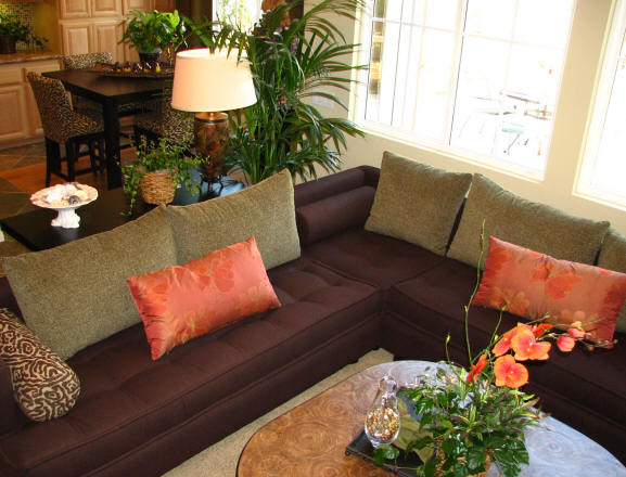 earth-living-room