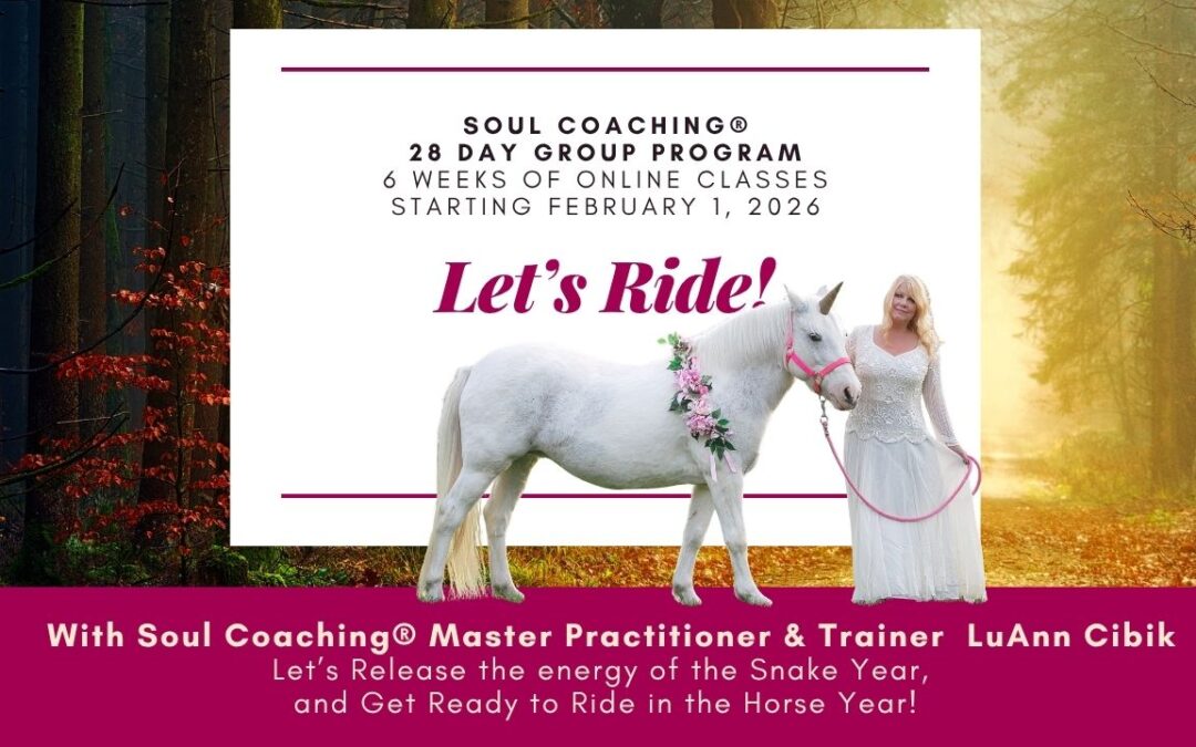 Soul Coaching(R) 28 Day Program for 2026