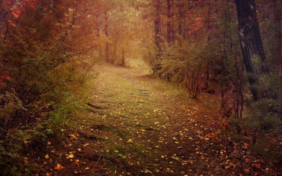 November… Resting, Releasing and Doing Less!