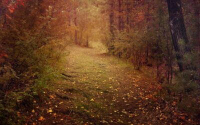 November… Resting, Releasing and Doing Less!