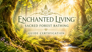 Enchanted Forest Bathing Guide